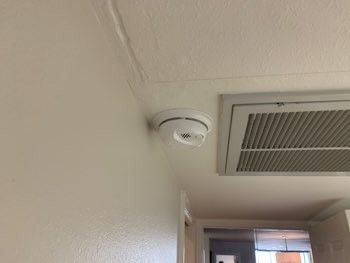 Ceiling Inspection