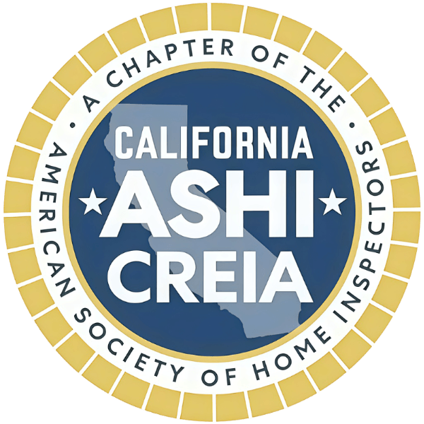 Ashi new logo